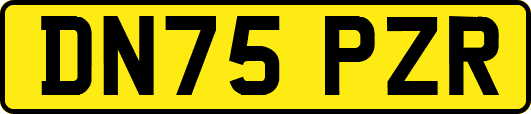 DN75PZR