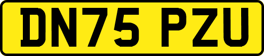 DN75PZU