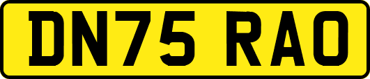 DN75RAO
