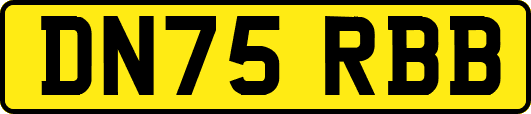 DN75RBB
