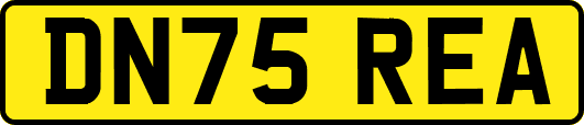 DN75REA