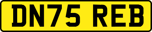 DN75REB