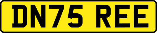 DN75REE