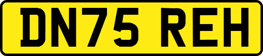 DN75REH
