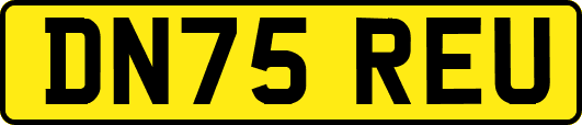 DN75REU
