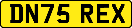 DN75REX