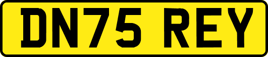 DN75REY