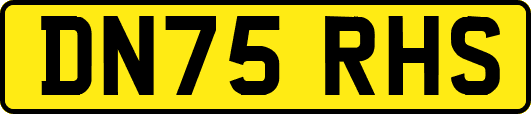 DN75RHS