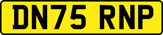 DN75RNP