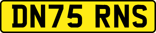 DN75RNS