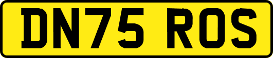 DN75ROS