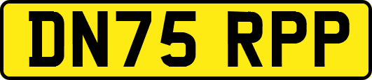 DN75RPP
