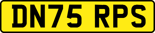DN75RPS