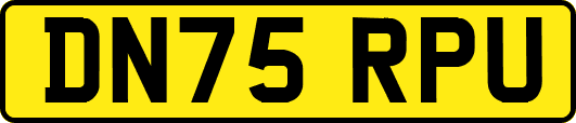 DN75RPU