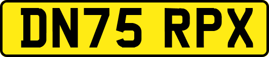 DN75RPX