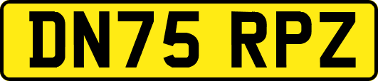 DN75RPZ