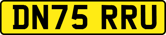 DN75RRU