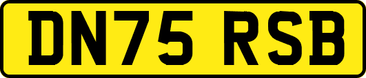 DN75RSB