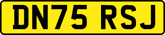 DN75RSJ