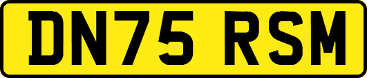 DN75RSM