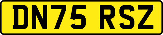 DN75RSZ