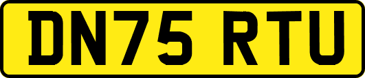 DN75RTU