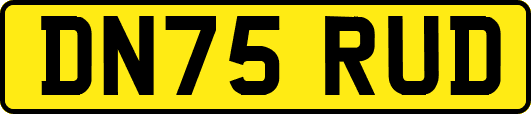 DN75RUD