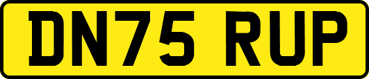 DN75RUP