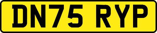 DN75RYP