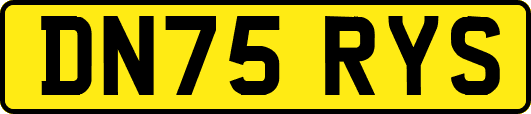 DN75RYS