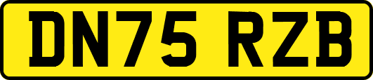 DN75RZB
