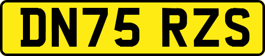 DN75RZS