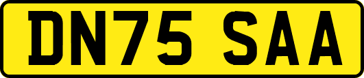 DN75SAA