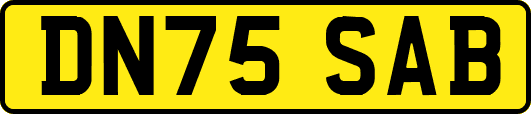 DN75SAB