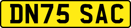 DN75SAC