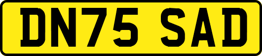 DN75SAD