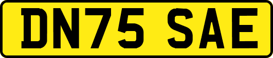 DN75SAE