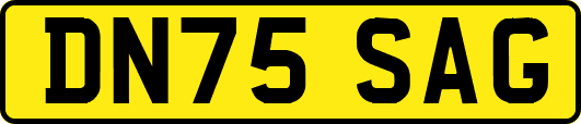 DN75SAG