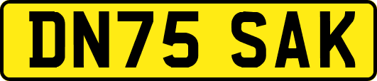 DN75SAK