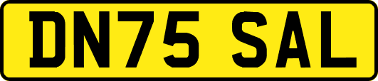DN75SAL