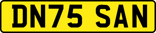 DN75SAN