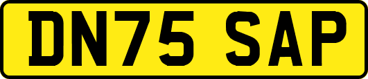 DN75SAP
