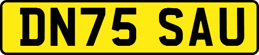 DN75SAU