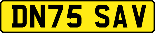 DN75SAV