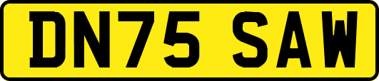 DN75SAW