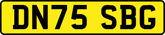DN75SBG