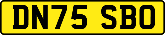 DN75SBO