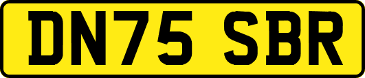 DN75SBR