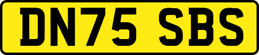 DN75SBS