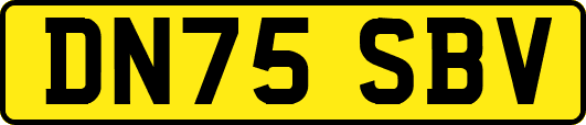 DN75SBV